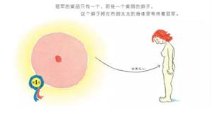 家长们,别再羞答答了,快亲手替孩子填上“*启蒙性**”这个坑吧!