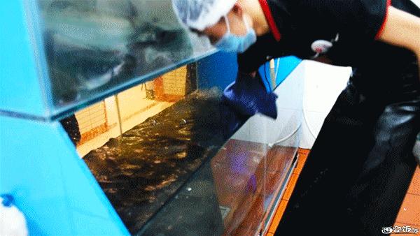 香Skr人!这家店排了两个小时?饭饭送你免排队黑卡内含¥?68