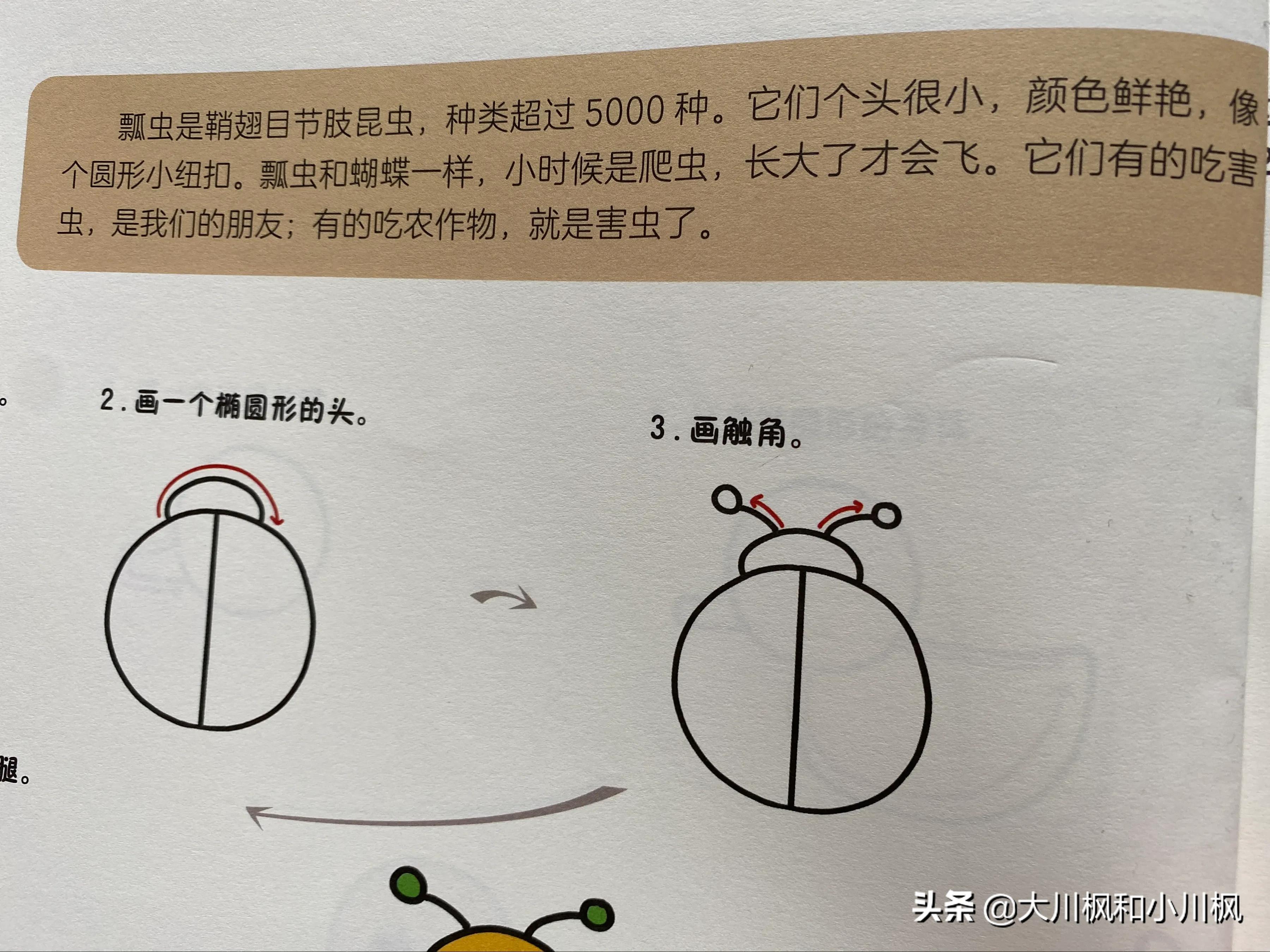 自然万物简笔画,万物变化简笔画图片大全