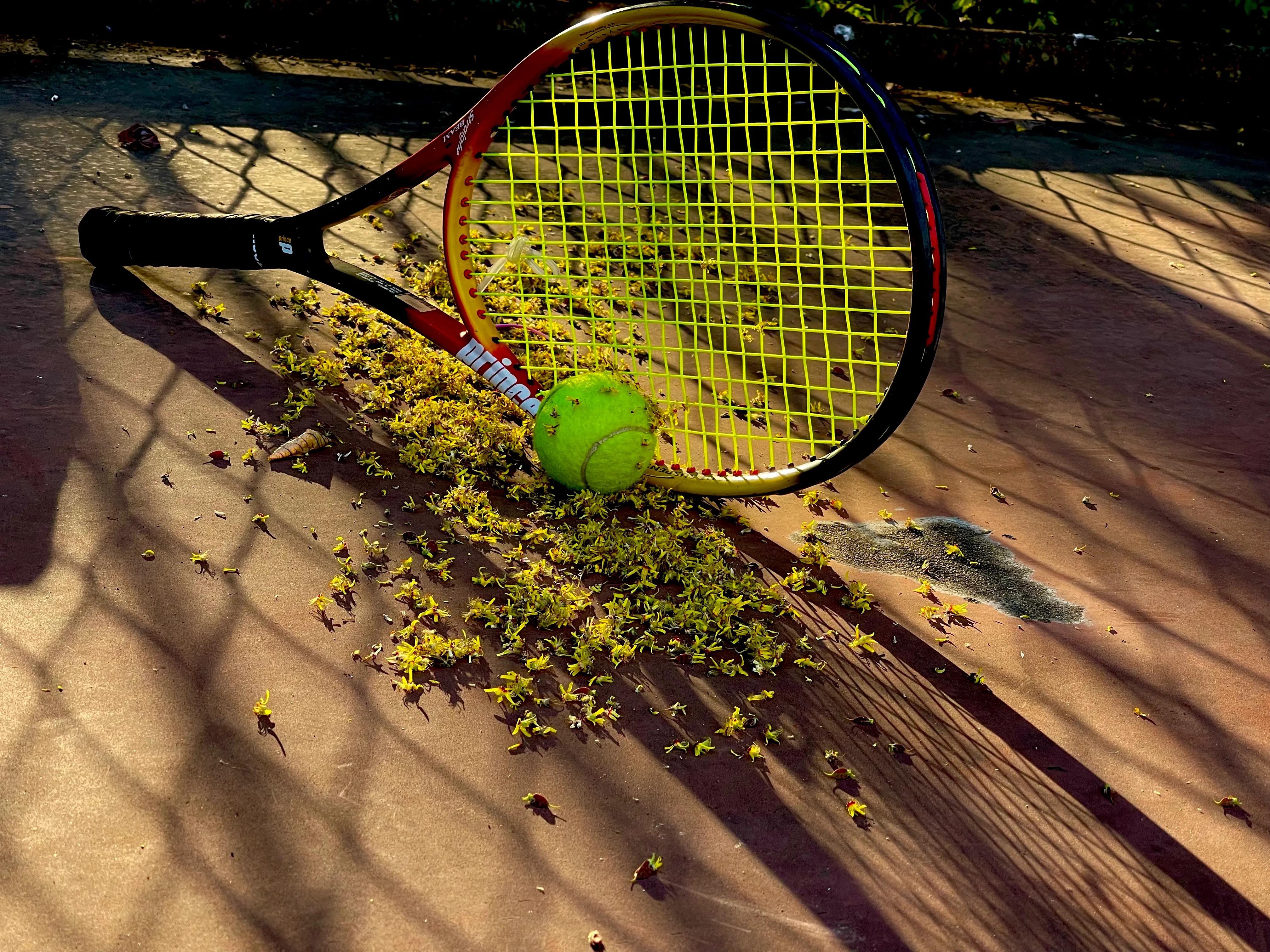 绉嬫棩绗旇鐩存挱,绉嬫棩绗旇