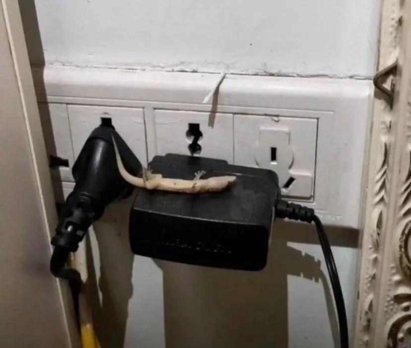 每日一笑挑战规则,每日一笑尴尬局面