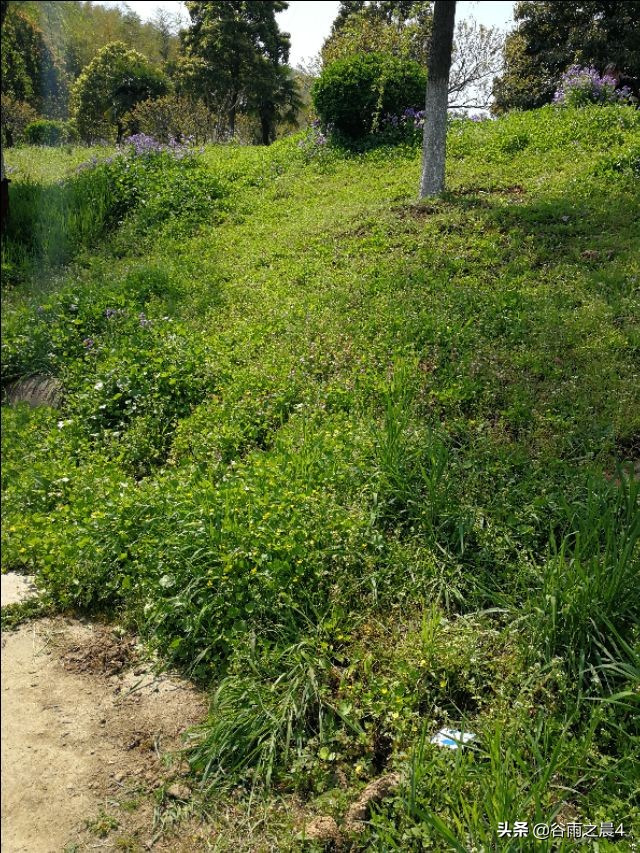 宜兴竹海徒步路线推荐,宜兴竹海最高海拔多少