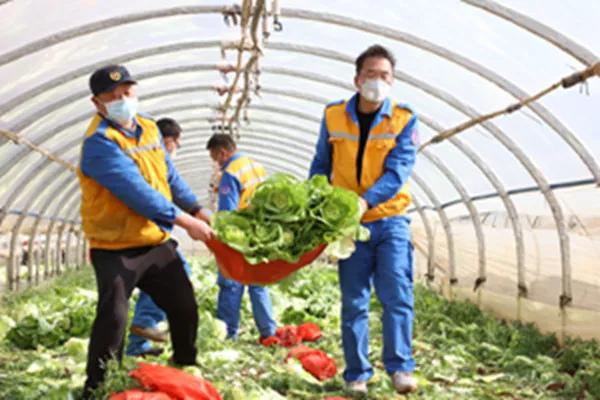 閾佽矾鐗╄祫鏀彺姝︽眽,鍏ㄥ浗楂橀搧鏀彺姝︽眽鐗╄祫