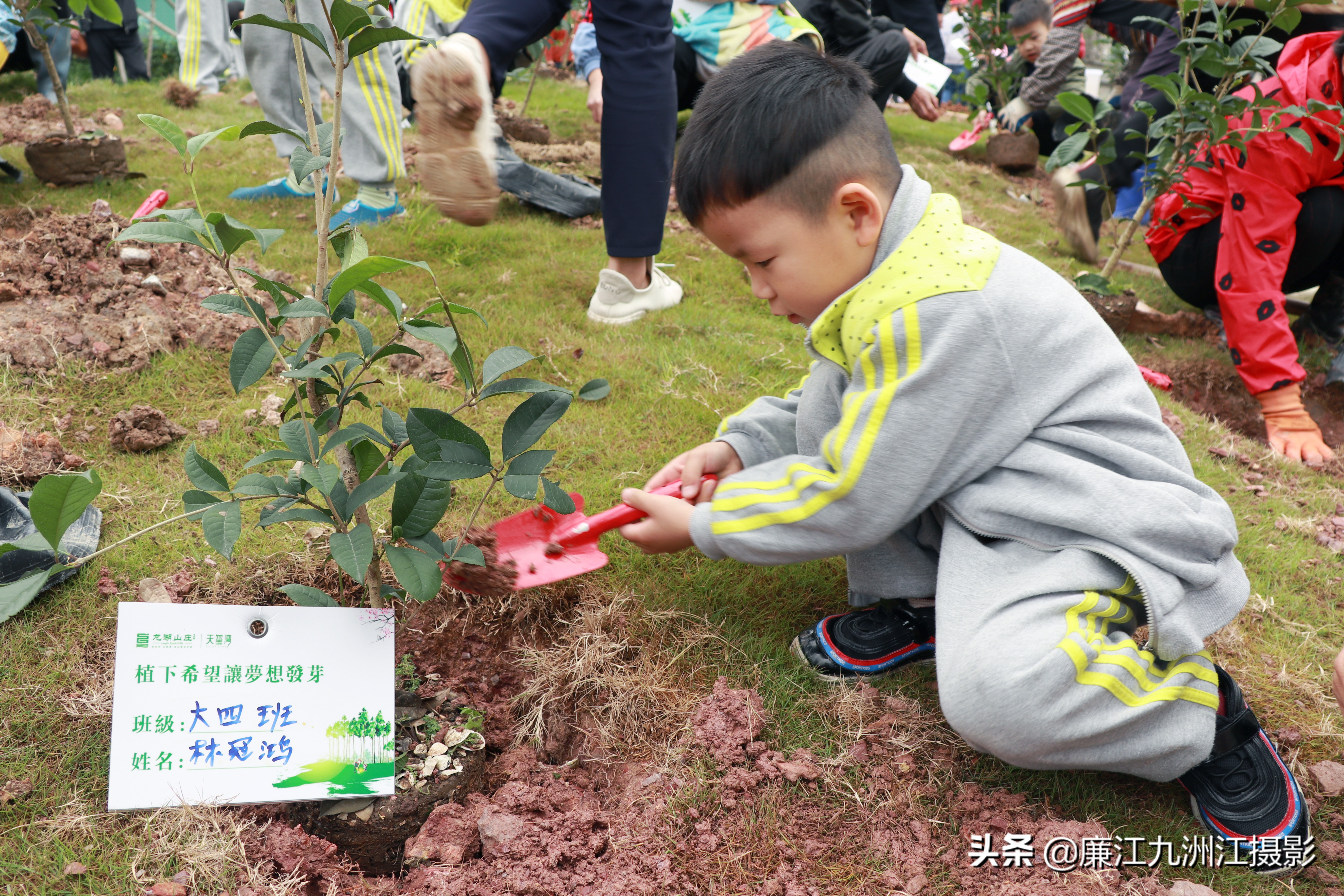 种下希望让梦想发芽舞蹈,种下希望让梦想发芽