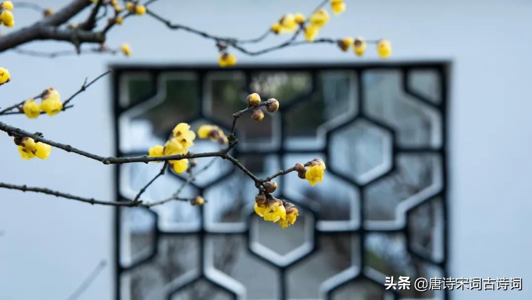 又是一个冬天歌曲,又是一个冬天纯音乐