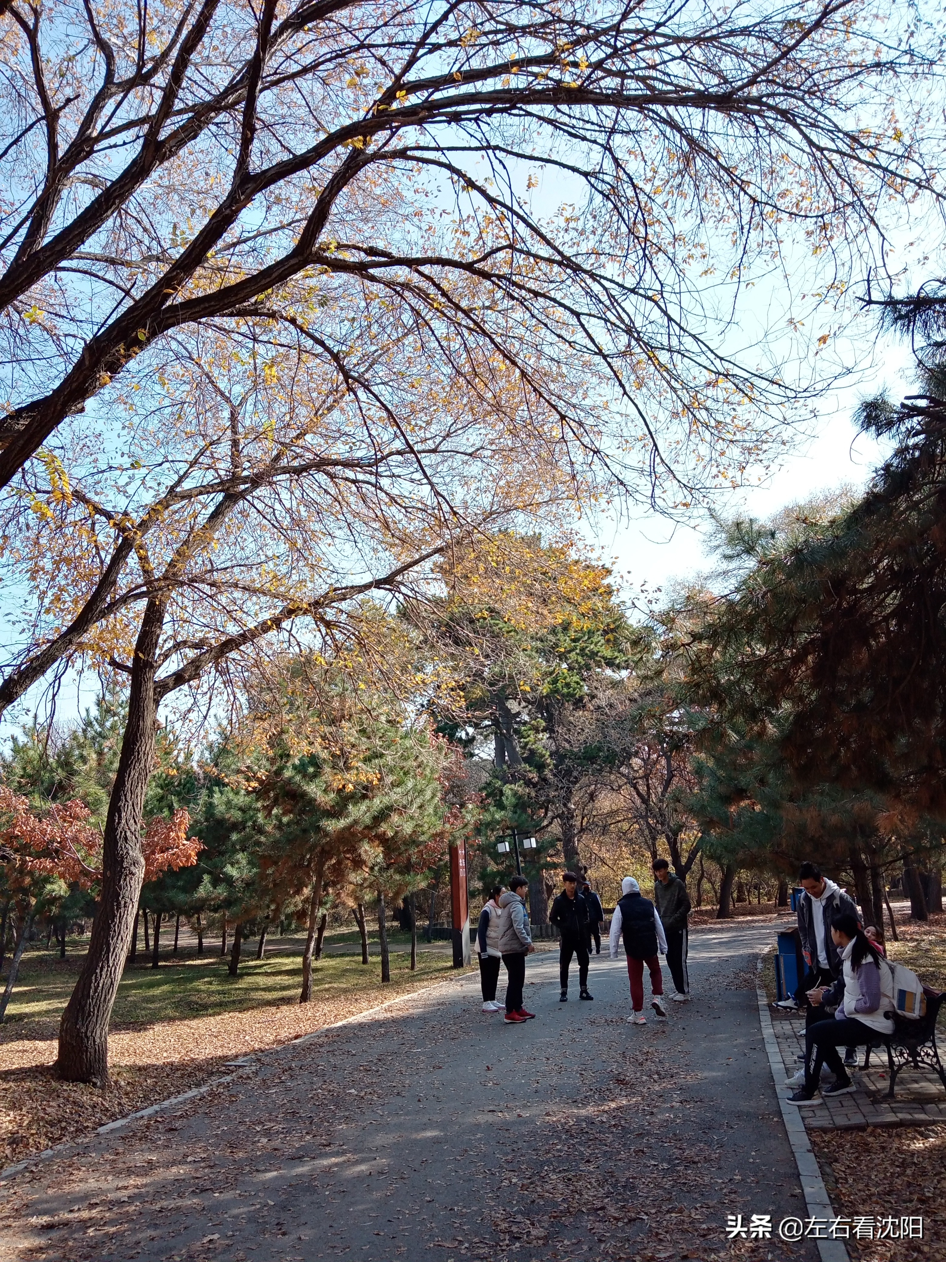 秋季沈阳北陵公园有啥好玩的,漫步沈阳北陵公园湖水边
