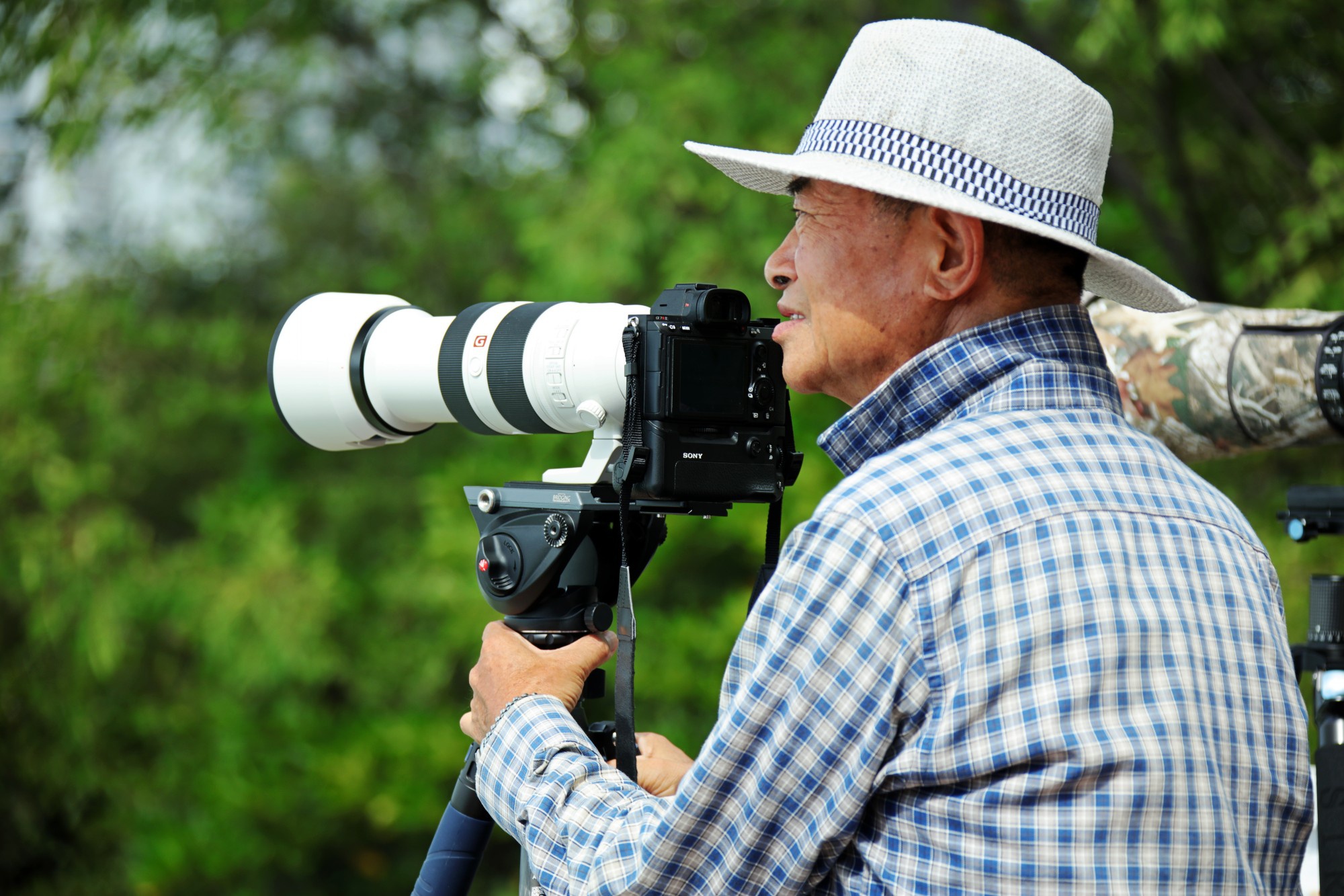 微单相机索尼佳能尼康到底选哪个,索尼微单a92对应尼康哪一款机