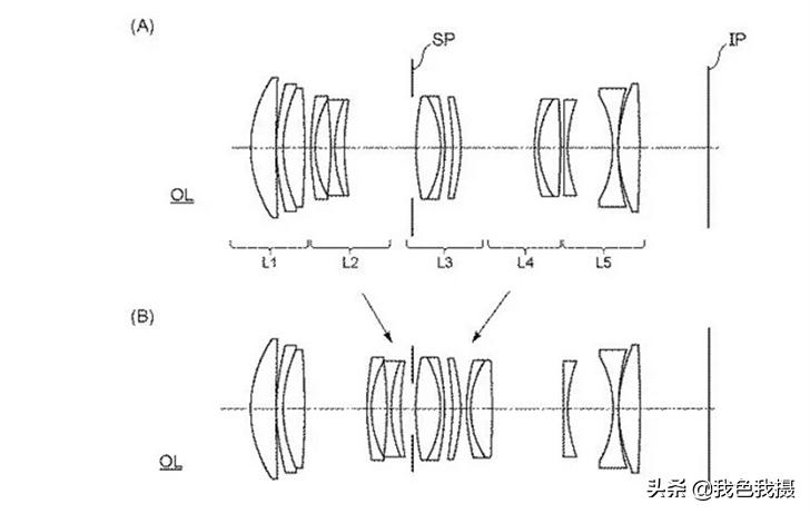 佳能微距镜头推荐型号有哪些,佳能rf100f2.8微距前面控制环的使用