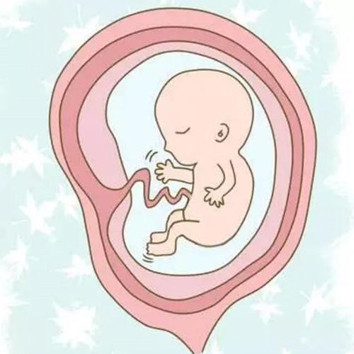 孕妇可以放东西在房间吗,怀孕了卧室放冰箱对胎儿有影响吗