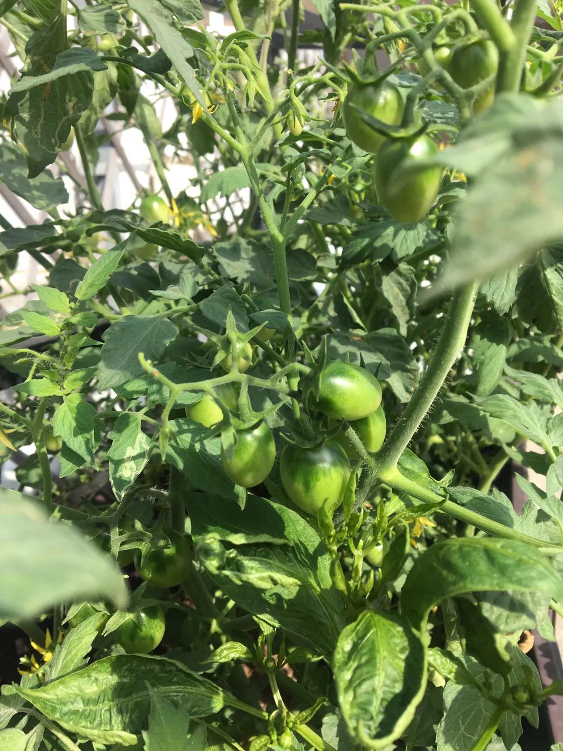 厦门曾厝垵民宿招聘前台,厦门曾厝垵民宿怎么样