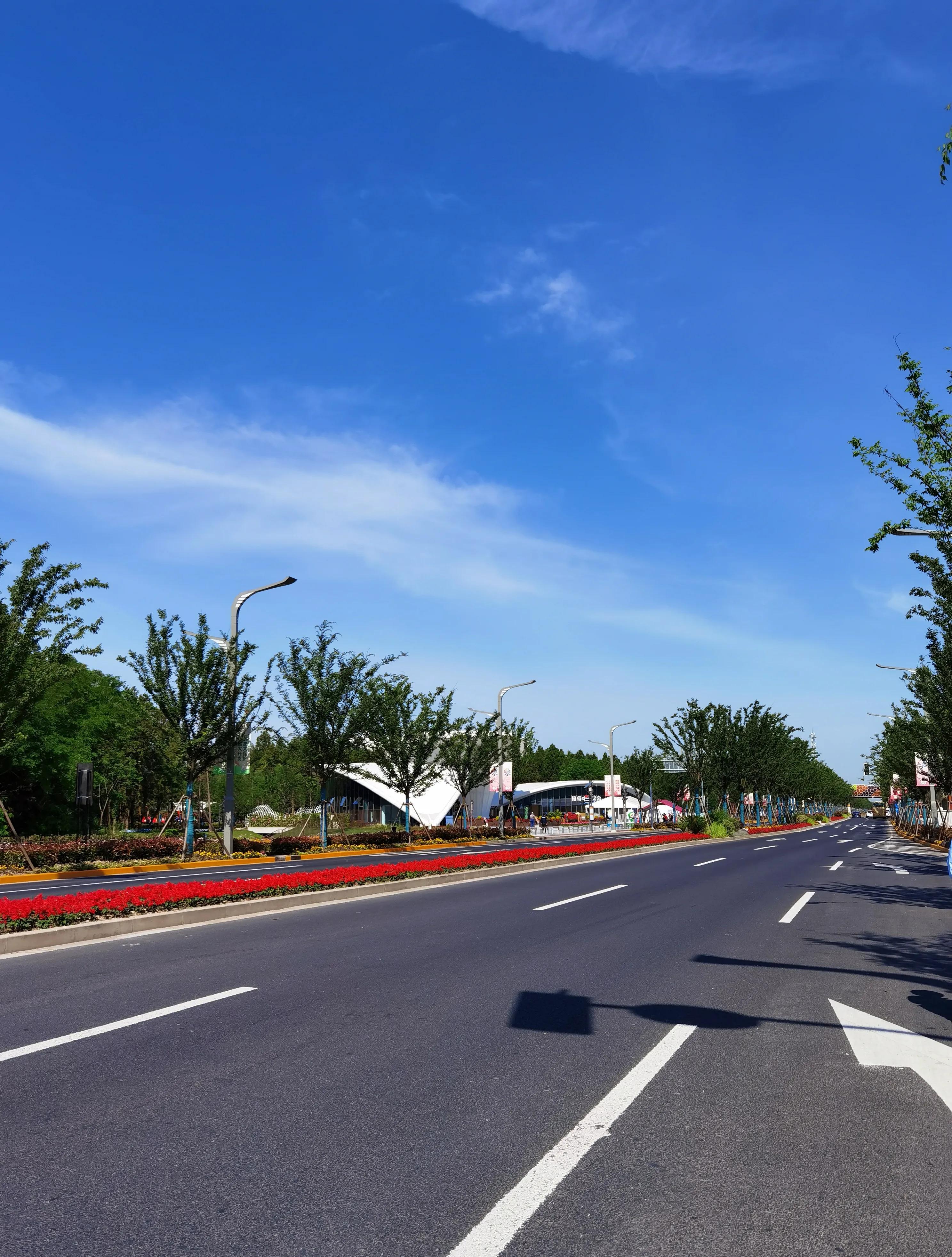 关于崇明花博会,崇明花博会全程花景