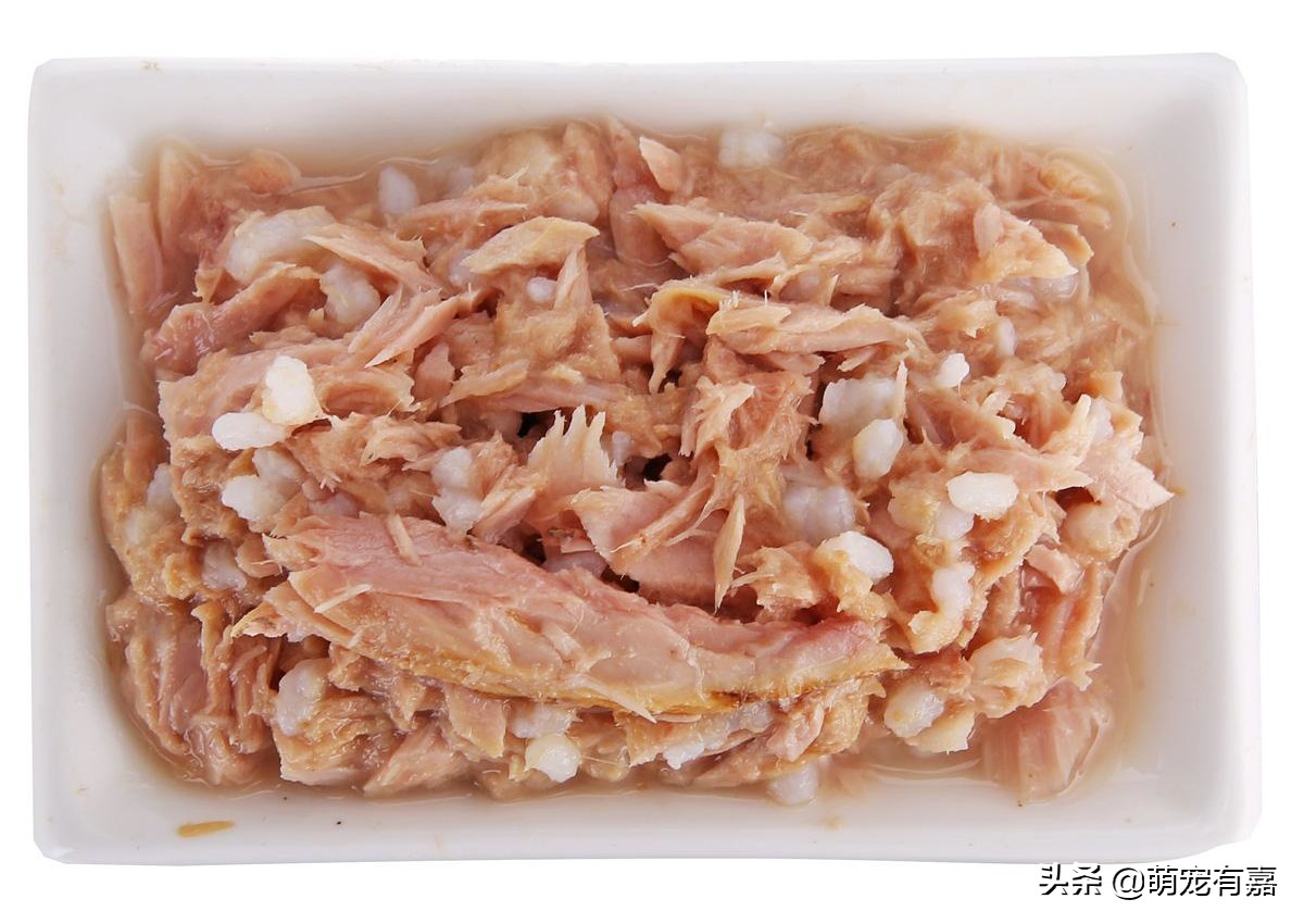 猫咪体重跟吃的猫粮计算,猫猫每日食谱大全