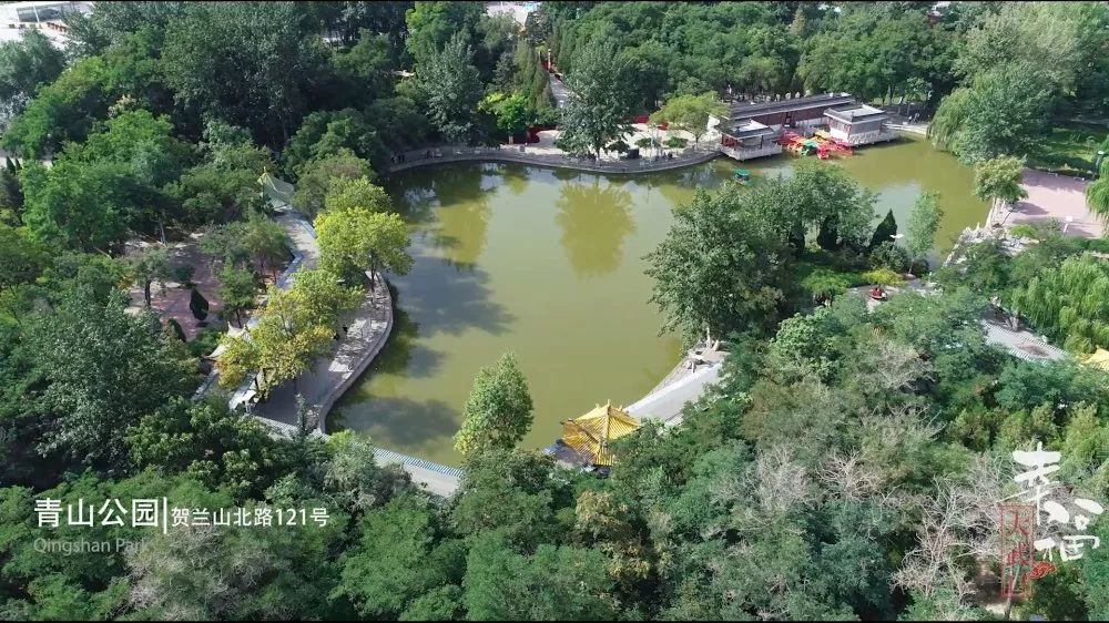 幸福炸了|大武口区落户政策引热议！欢迎王者“归”来