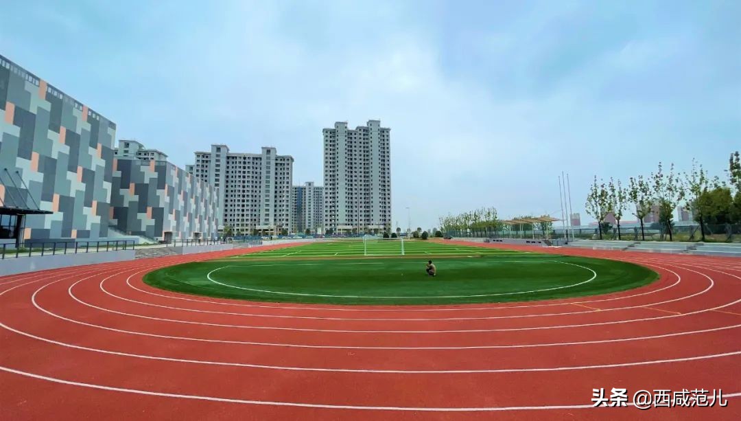 喜讯|新增学位14760个！沣西、能金区共10所新建学校，全部投运