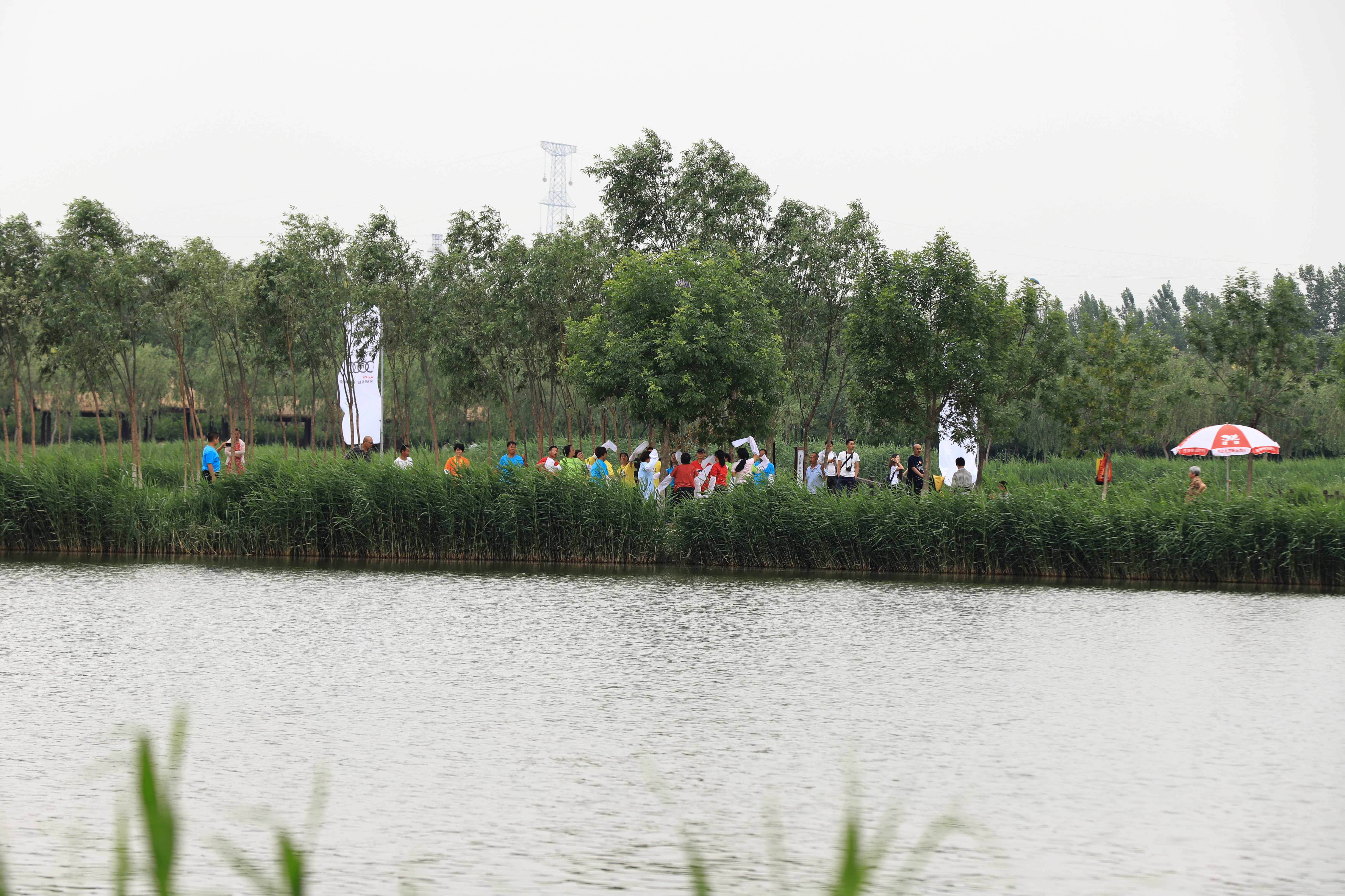 秋高气爽公园散步随拍,深秋天津的郊野公园