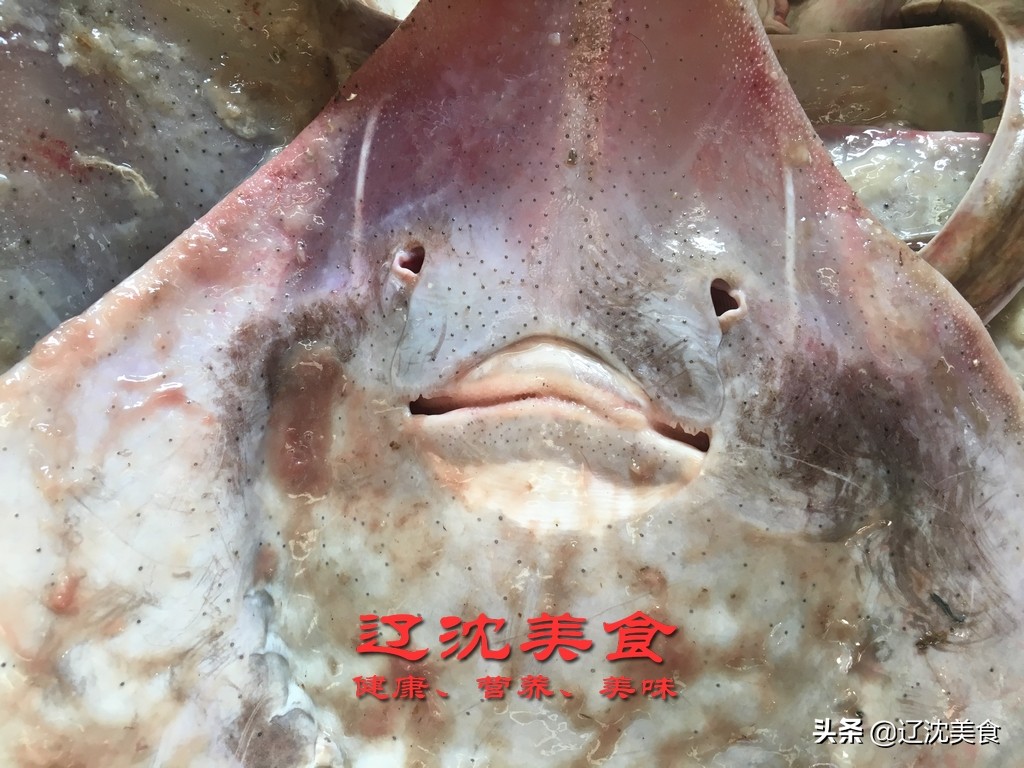 滨海海鲜批发市场营业时间,辽宁海边码头批发海鲜市场