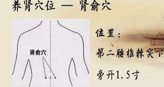 经络穴位记忆法视频,经络穴位在治疗过程的记忆和运用