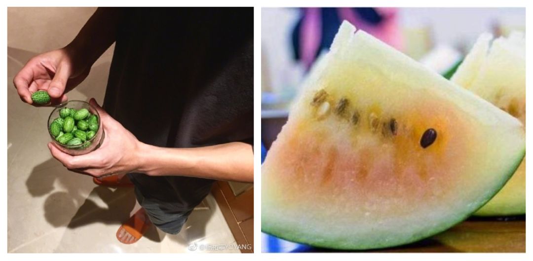 中国吃瓜群众的历史,中国吃瓜群众有多强