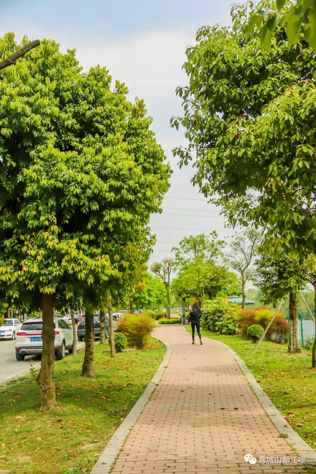 都江堰天府绿道骑行路线图,都江堰周边最美骑行路线