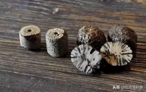 星月菩提哪个种类比较好,哪个种类的星月菩提是最好的