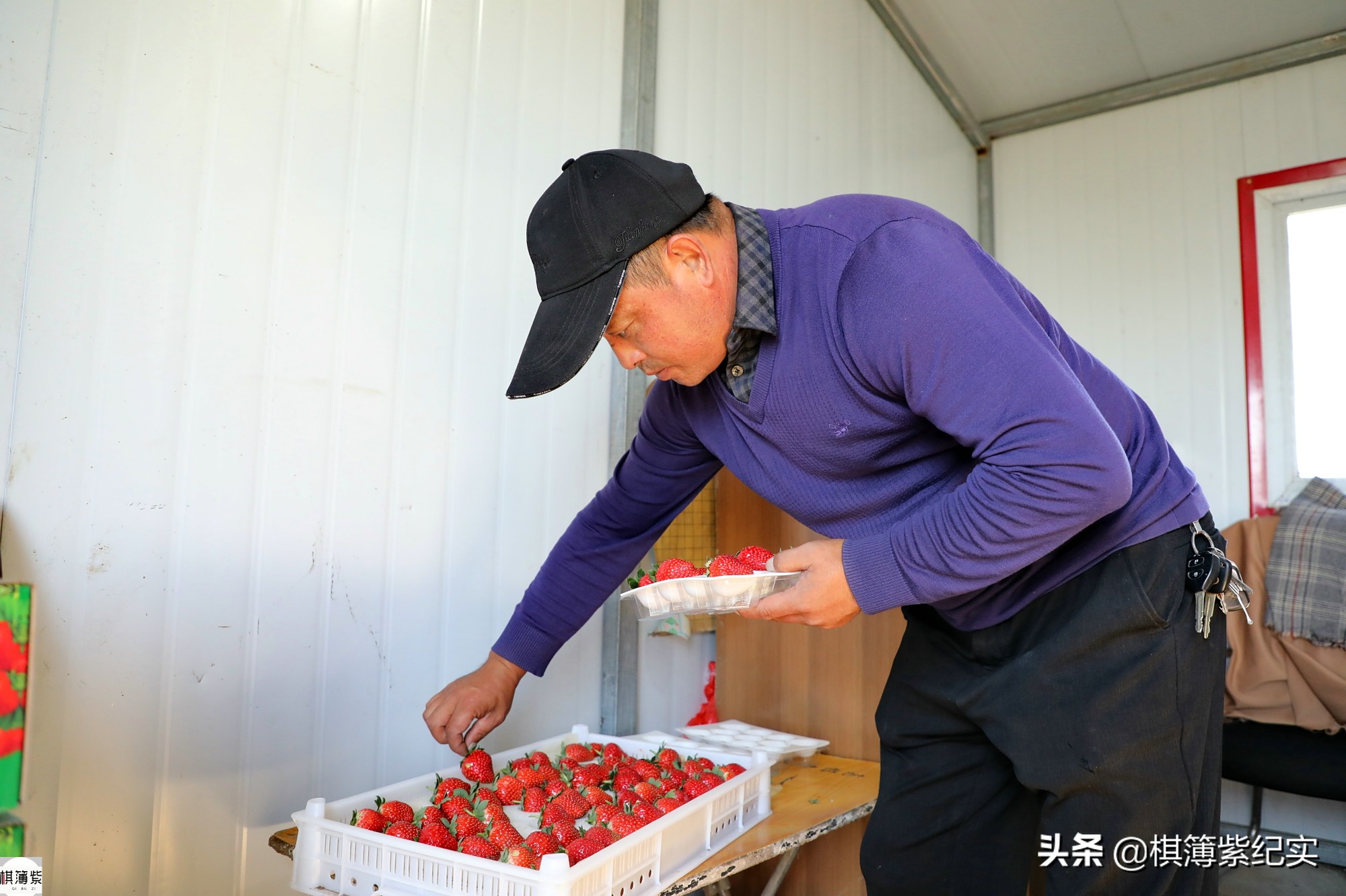 东北草莓3月份多少钱,东北草莓现在多少钱一斤