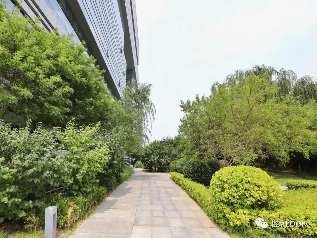 别人家的公司,别人家的公司还招人吗