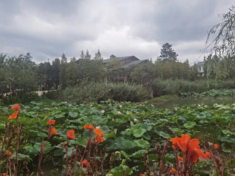 贵州蓬莱仙界旅游攻略,白云区蓬莱仙界景点介绍