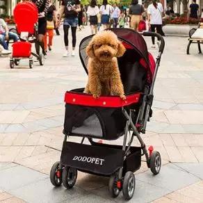 不出国门也能一站式打卡,不出国门也能度假