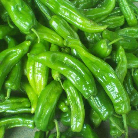 怎么辨别青椒辣不辣,买青椒怎么选