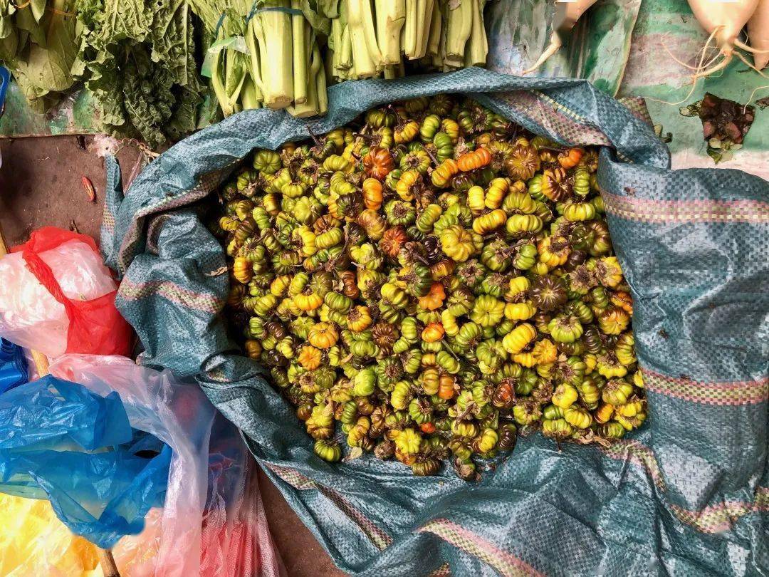 云南带毒的美食,云南带菌的美食