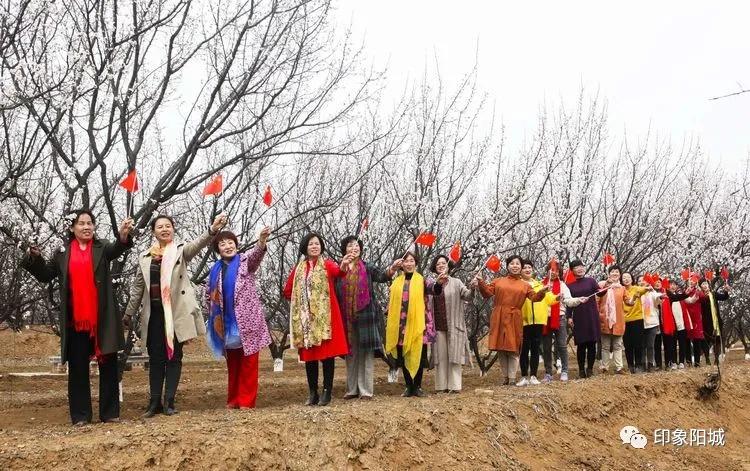 晋城哪里可以春游,晋城附近春游景点