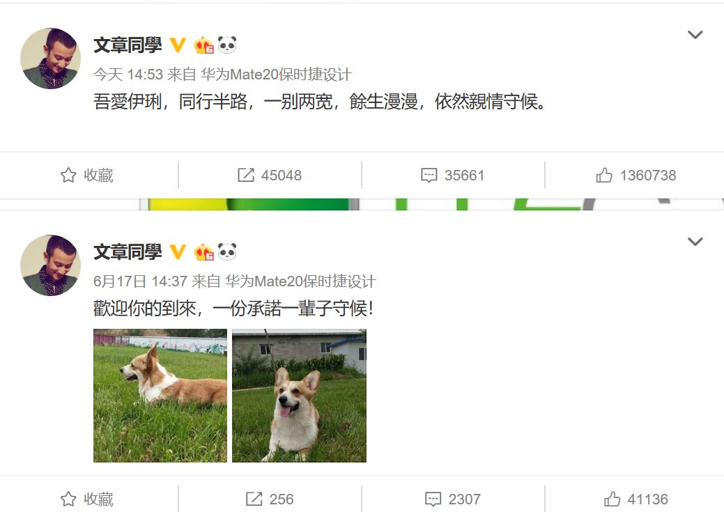 且行且珍惜马伊琍现在怎样了,马伊琍和文章最近的情感