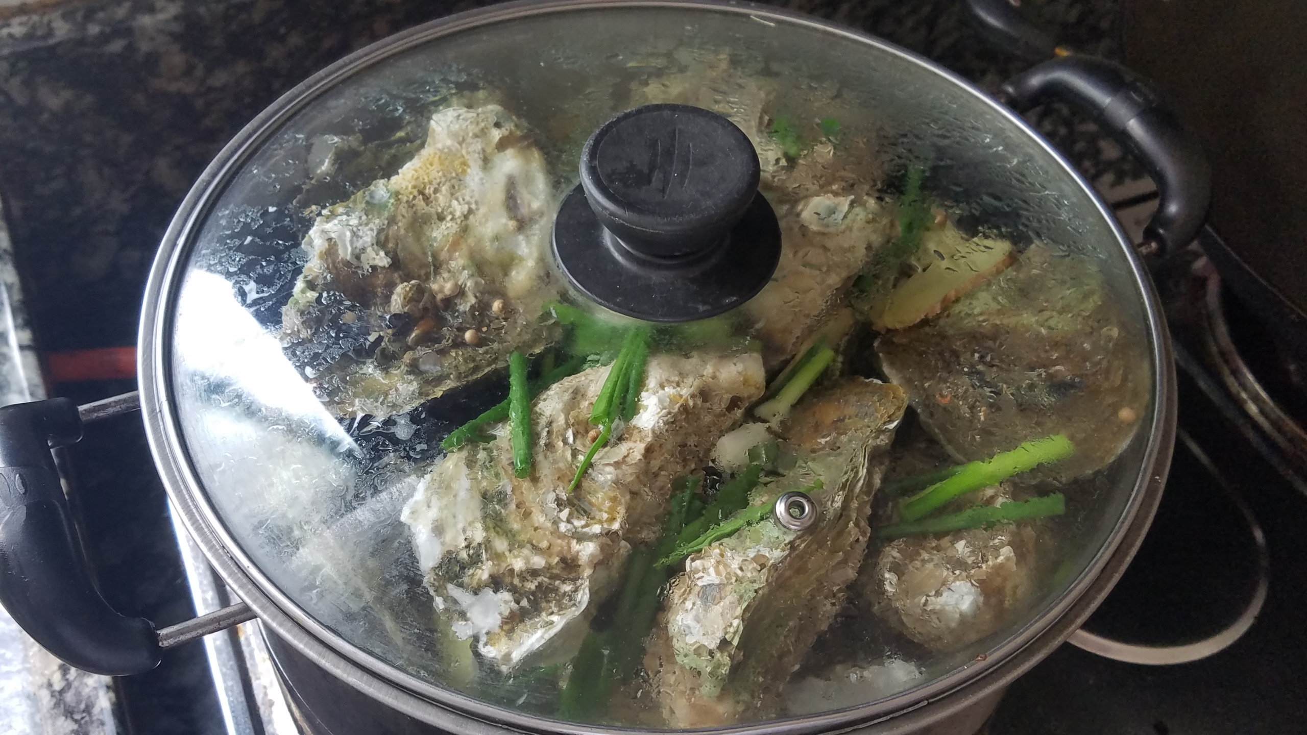 生蚝又好吃又简单的做法,生蚝的多种做法大全