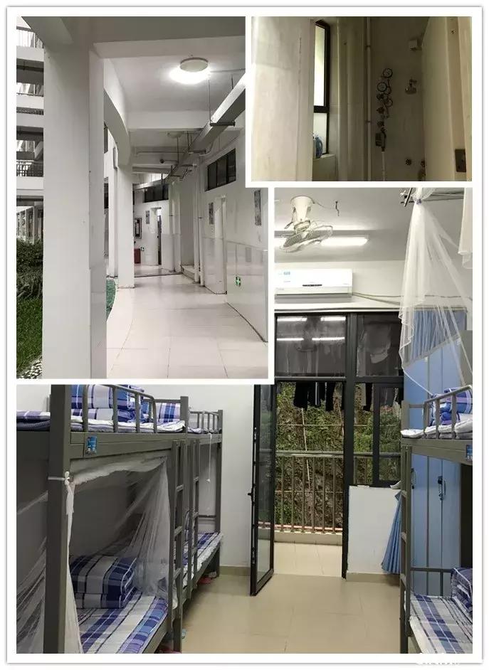 深圳盐港中学高考升学率,深圳2016盐高高考成绩