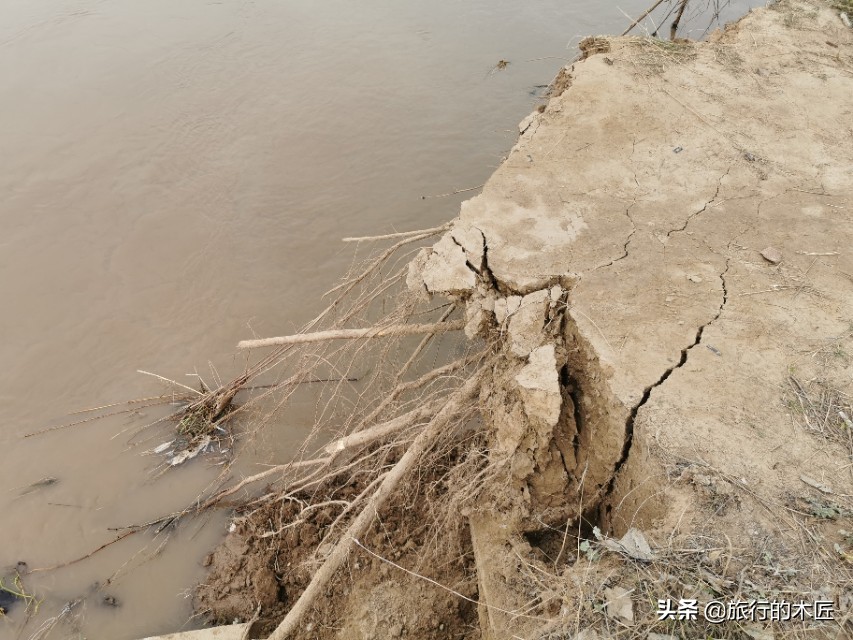 黄河湿地公园郑州要门票吗,郑州黄河湿地公园是否免费