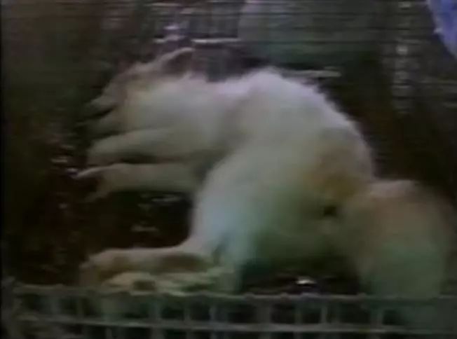 豆瓣9.1这部剧全程高能,豆瓣9.2分最好看的悬疑剧