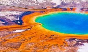 女神节有无与伦比的美丽,女神节浪漫游花海