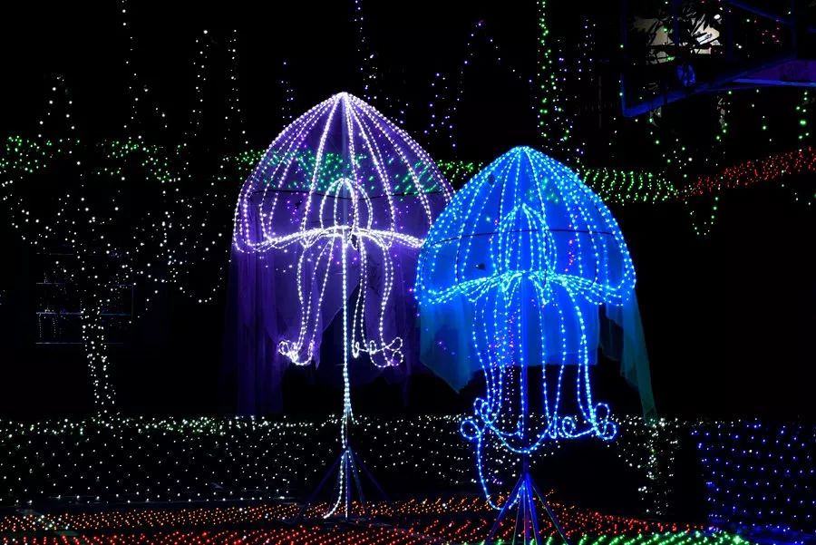 亚龙湾国际玫瑰谷灯光节,三亚亚龙湾跨年夜