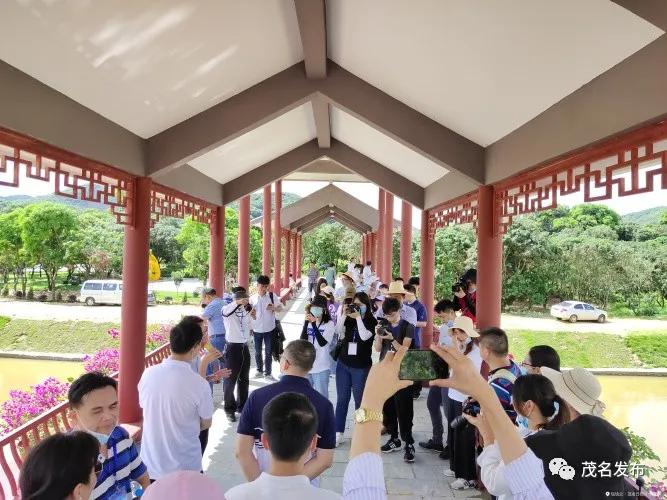 乡村振兴看辉煌,乡村振兴看东富