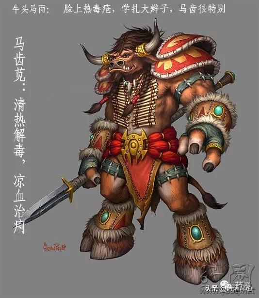 中药小课堂马齿苋,中医中药马齿苋的功效及应用