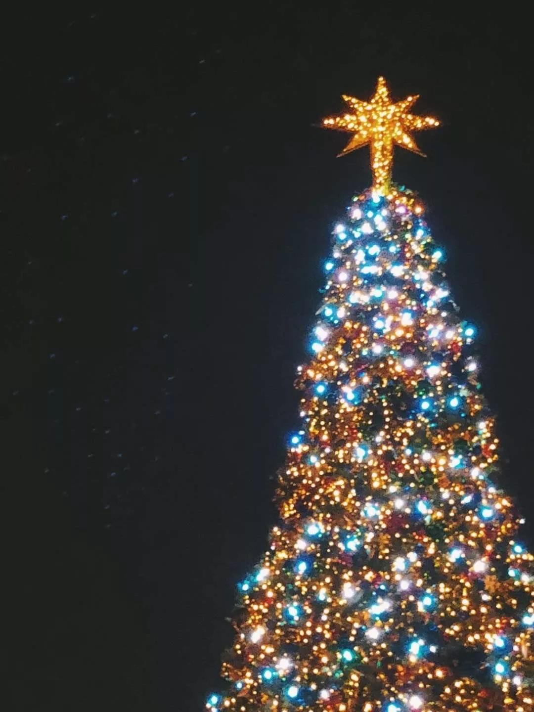 假期撒手没的戏精同事们，竟然在我挤春运的时候吹海风？？（下）