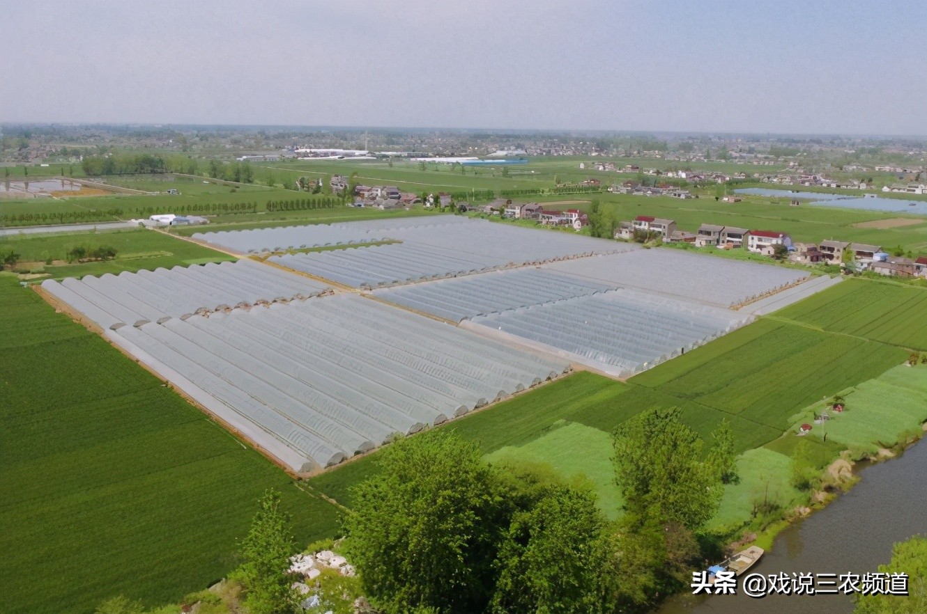 2023地亩补贴多少钱,地补今年每亩补贴多少元