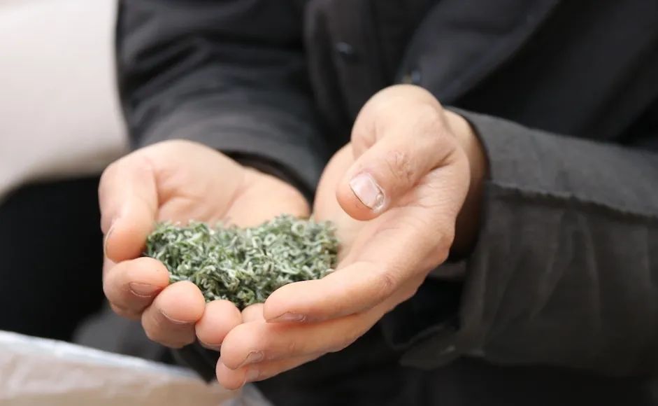 早上6点，去蒙顶山买茶是一种什么体验？