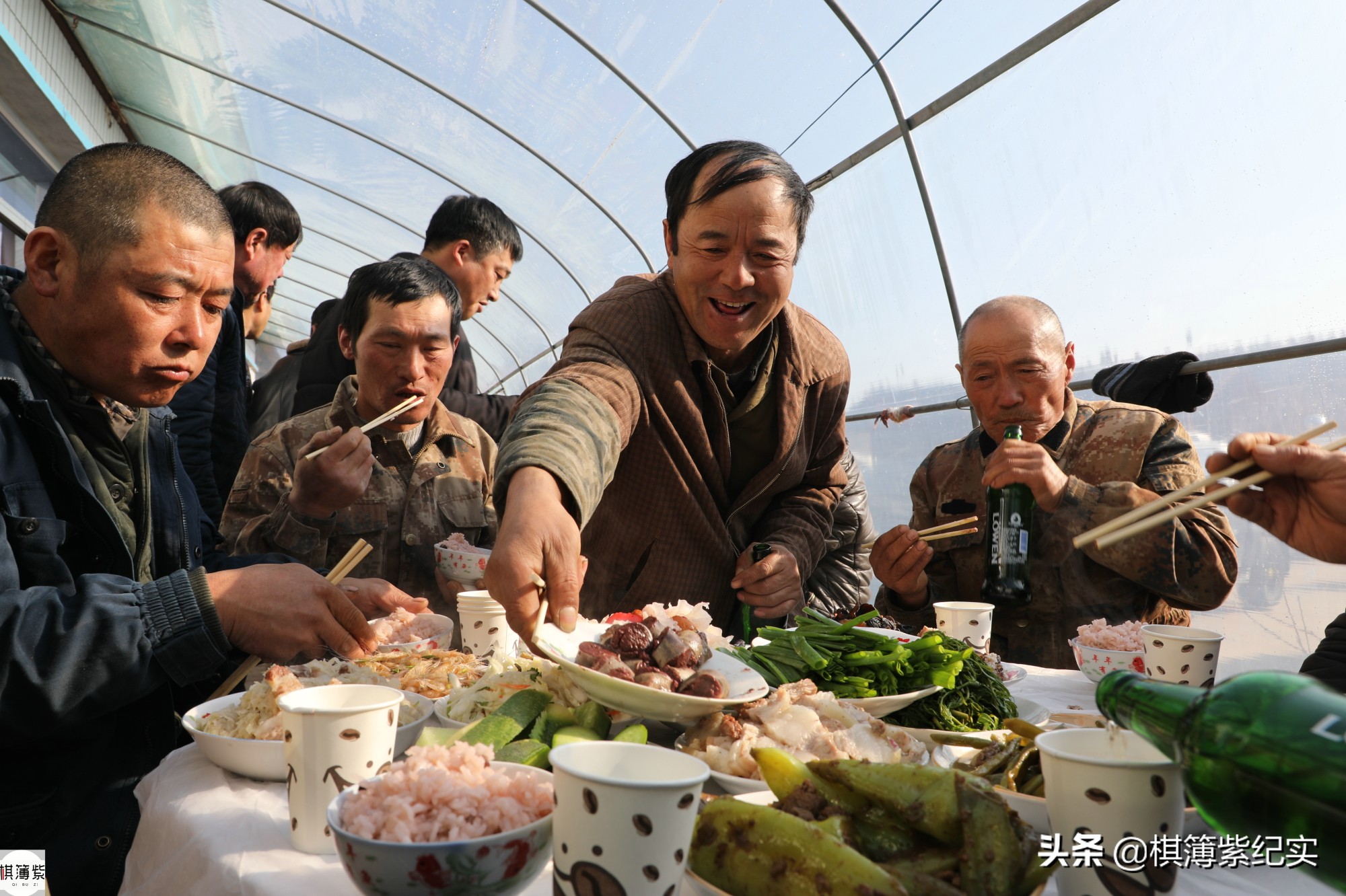 东北杀年猪的视频,东北农村杀大年猪完整版