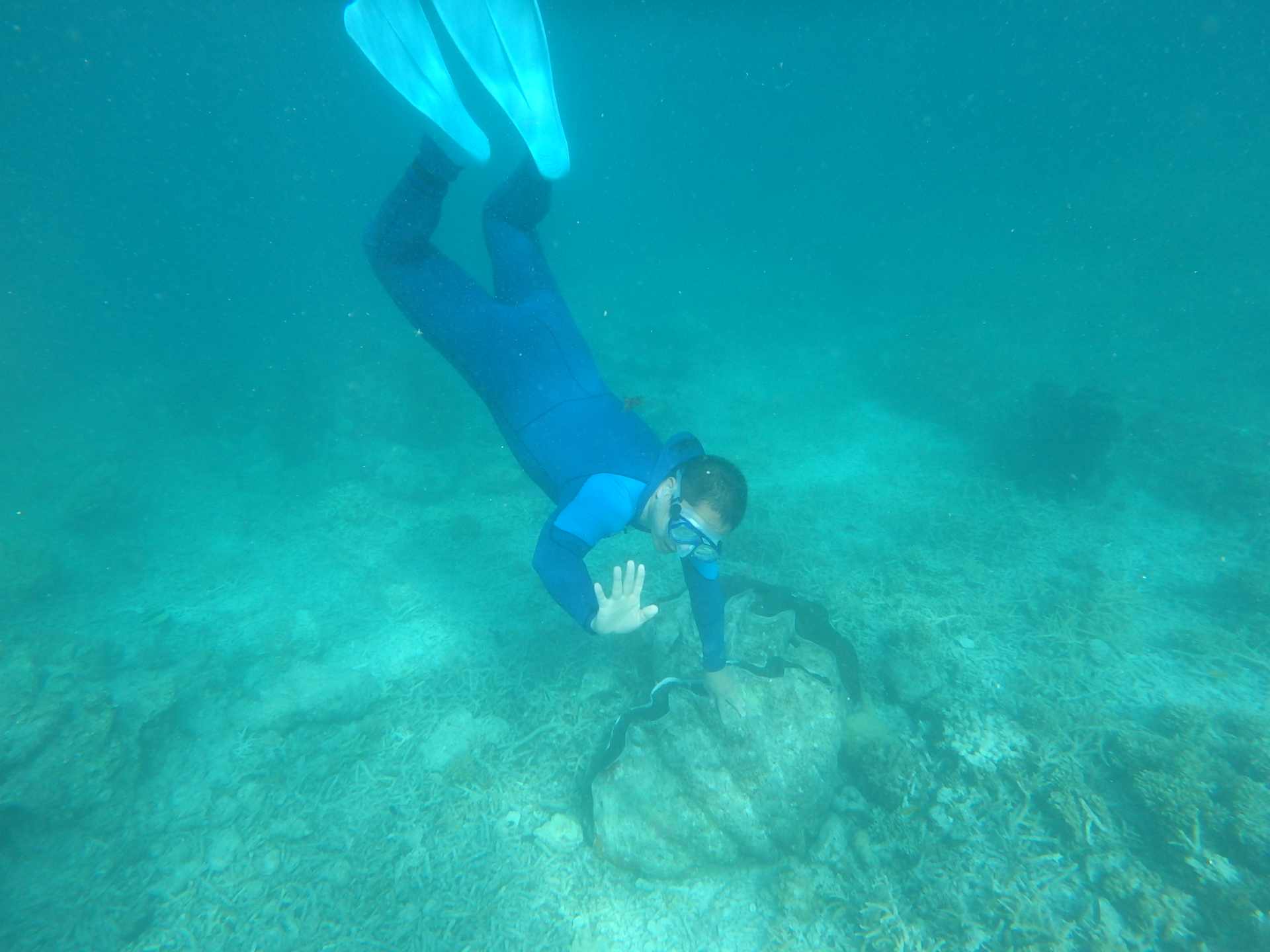 帕劳旅游十大攻略,帕劳上帝的水族箱