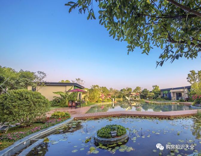 惠州碧桂园太东公园上城,碧桂园太东天樾湾红树林大城