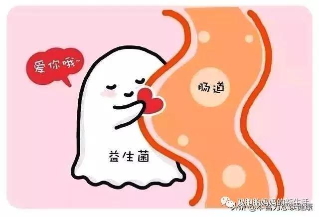 益生菌科普宝妈宝爸必看,益生菌科普小知识