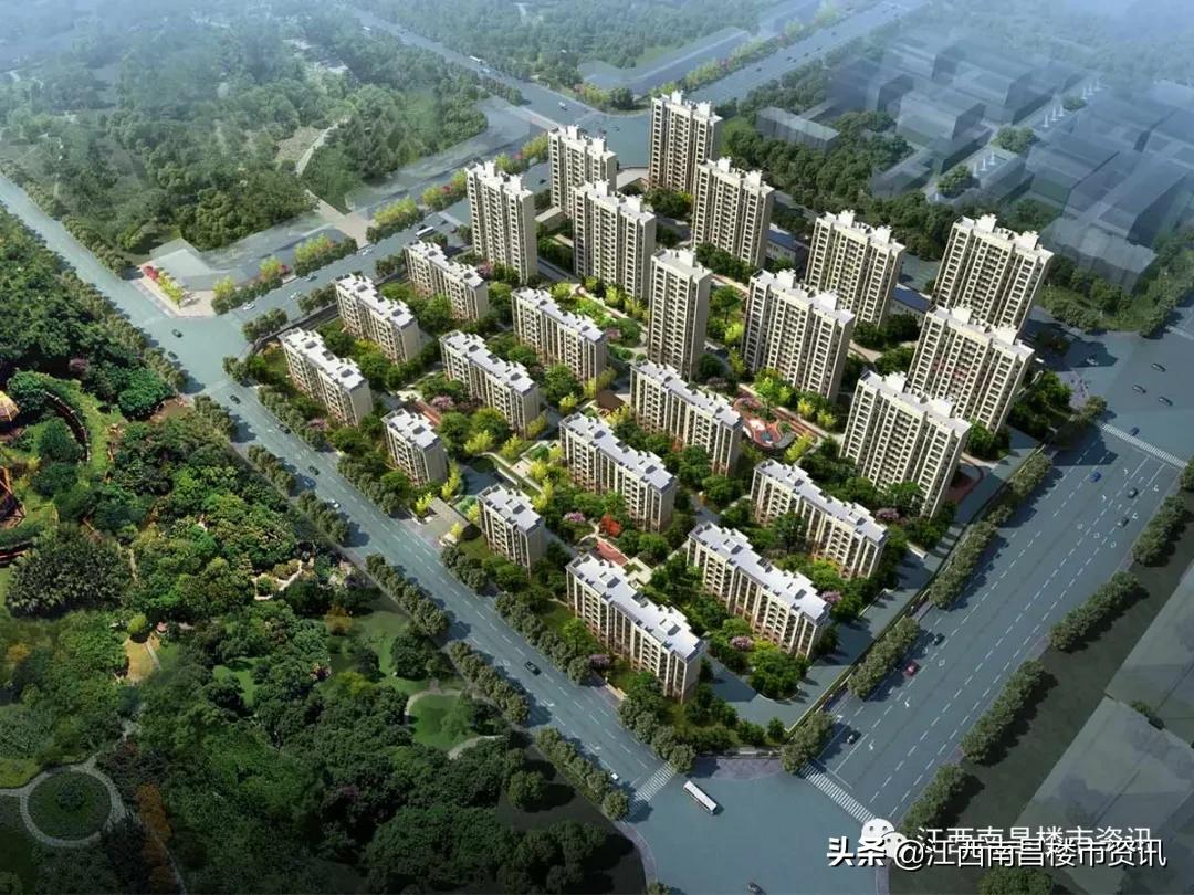 南昌九龙湖金茂悦属于哪个区,南昌九龙湖金茂悦真实入住感受