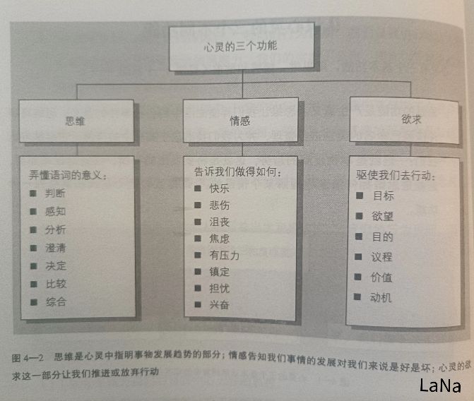 思辨与立场摘要,思辨与立场之思维背后的逻辑