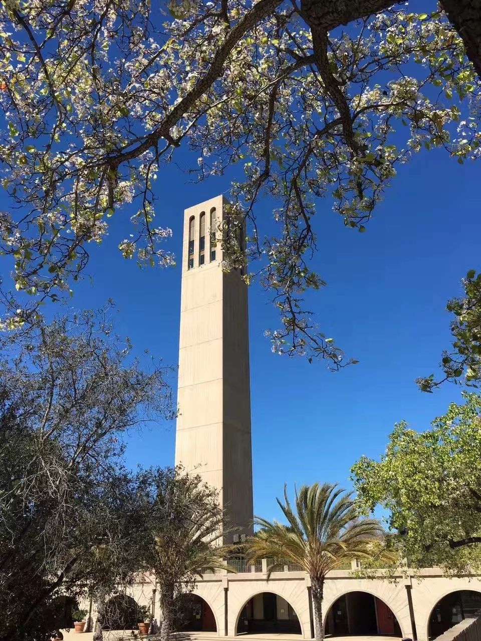 加州新港海滩游玩攻略,加州旅游推荐海边景点攻略